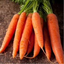 Каротан семена моркови Флакке  (Rijk Zwaan) поздний сорт