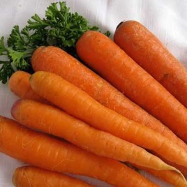 Наполи F1 семена моркови  (1,8-2,0 мм) PR (Bejo)
