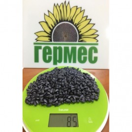 семена подсолнечника Антей (фракция Стандарт калибр 2,8-3,0 мм)